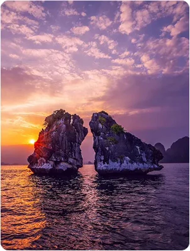 Hạ Long